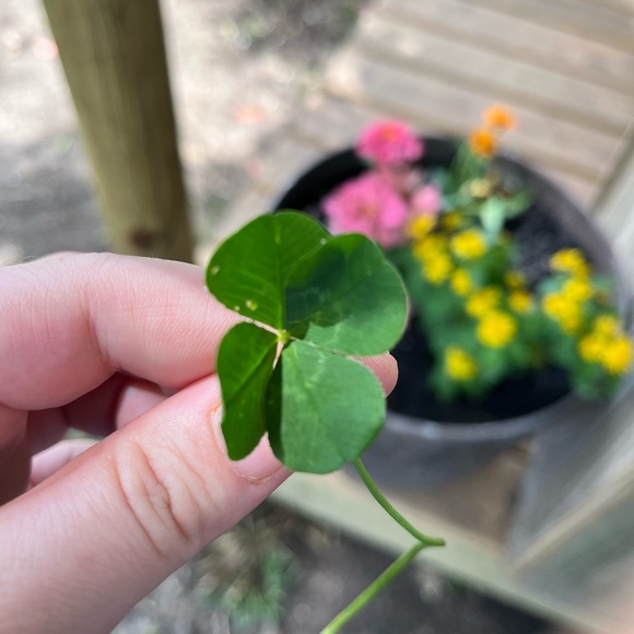 Meet your Posher! 💫☀️🌞🙏🍀🪷🌹 - Picture 4 of 10